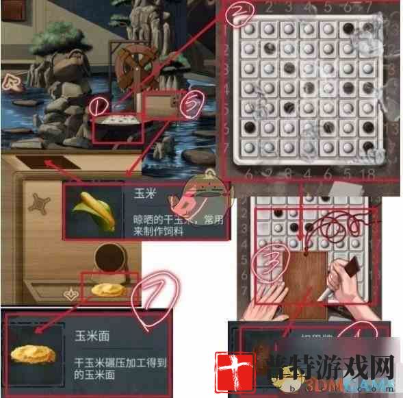 步骤5