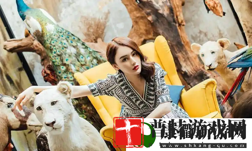 欧美人和禽类胶配方大全