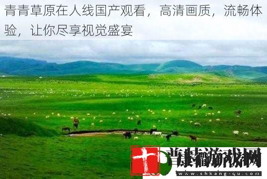 青青草原在人线国产观看