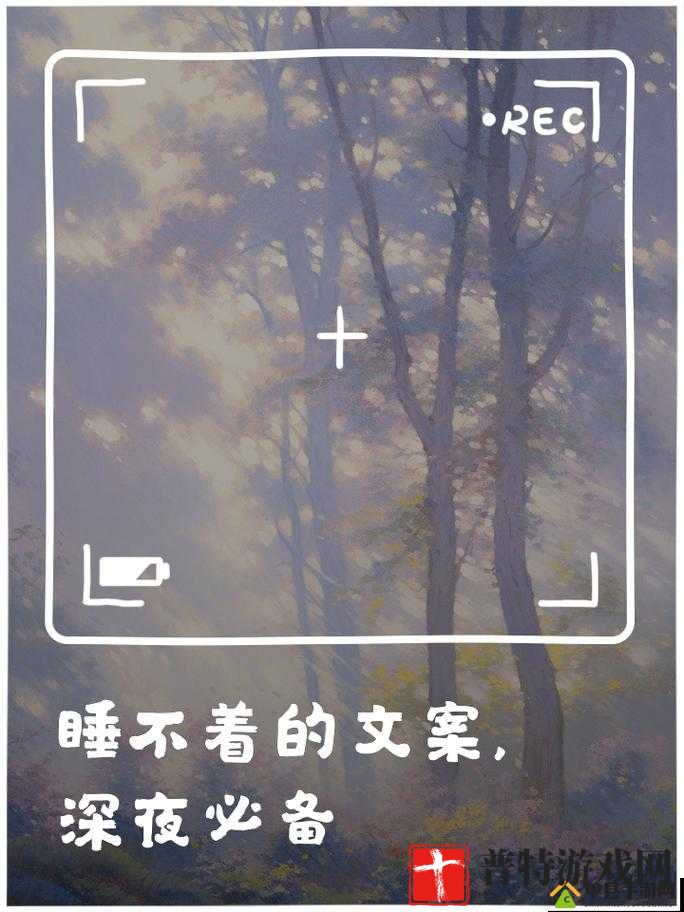 晚上睡不着想看点A：探寻心灵深处的宁静与思绪的漫游