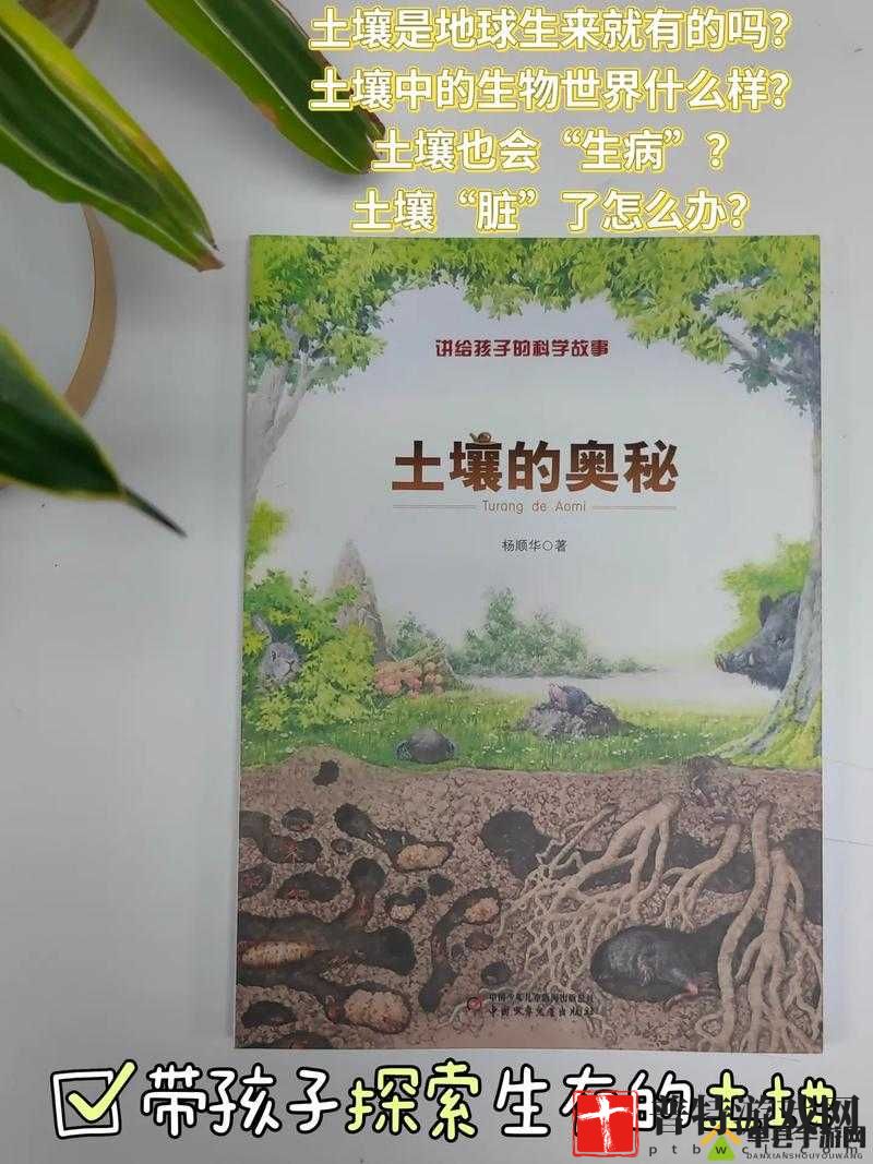 仙林踪 cosmetology：探索美丽的秘密