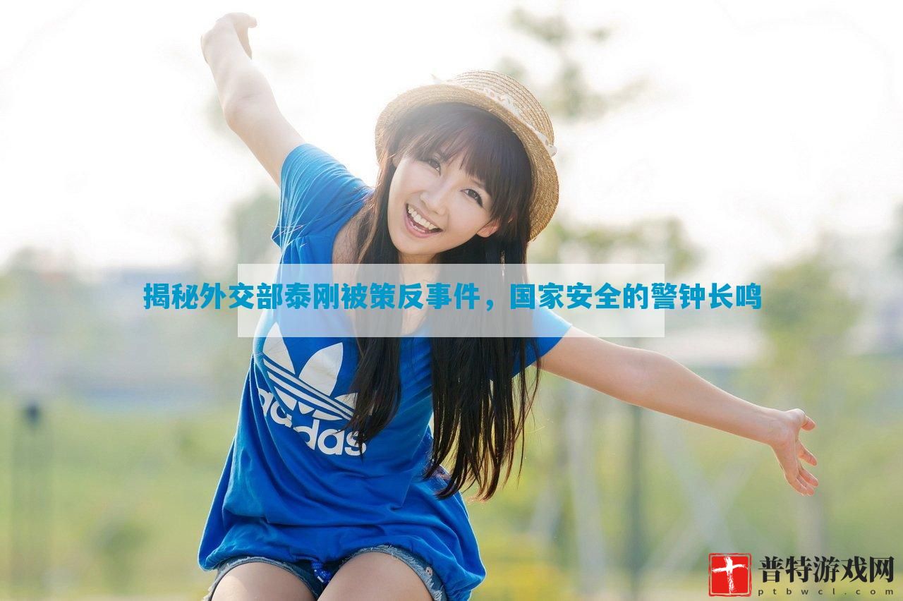 揭秘外交部泰刚被策反事件，国家安全的警钟长鸣