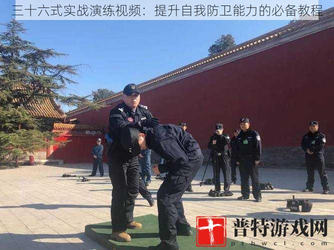 三十六式实战演练视频：提升自我防卫能力的必备教程