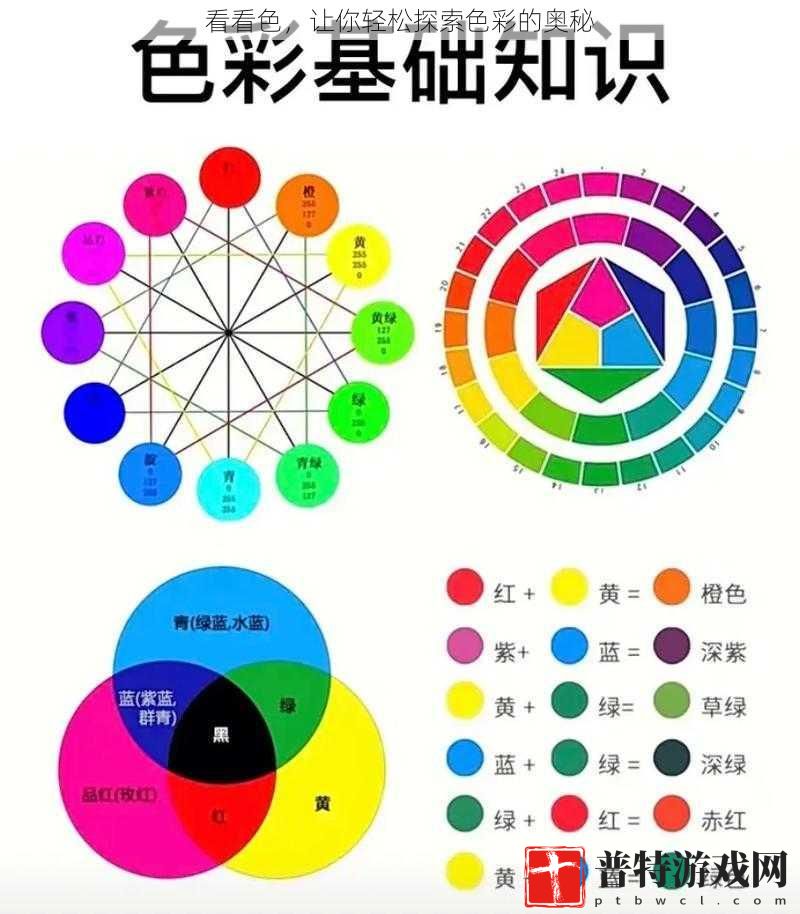 看看色，让你轻松探索色彩的奥秘