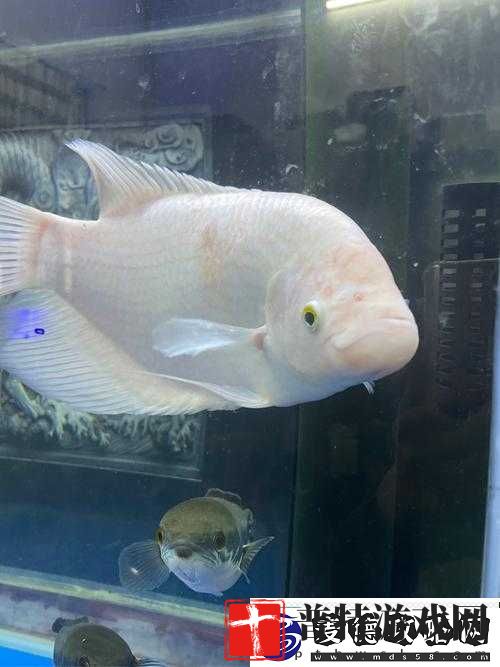 请输入
