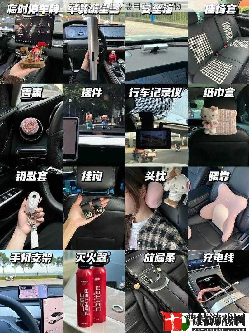等不及在车里就要用的私密好物
