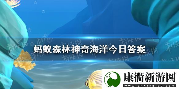 猜一猜角箱鲀遇到危险时会鼓成球吗