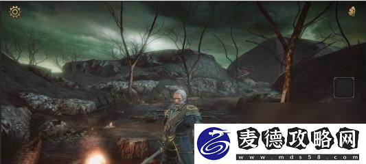 寻找维奥拉石板