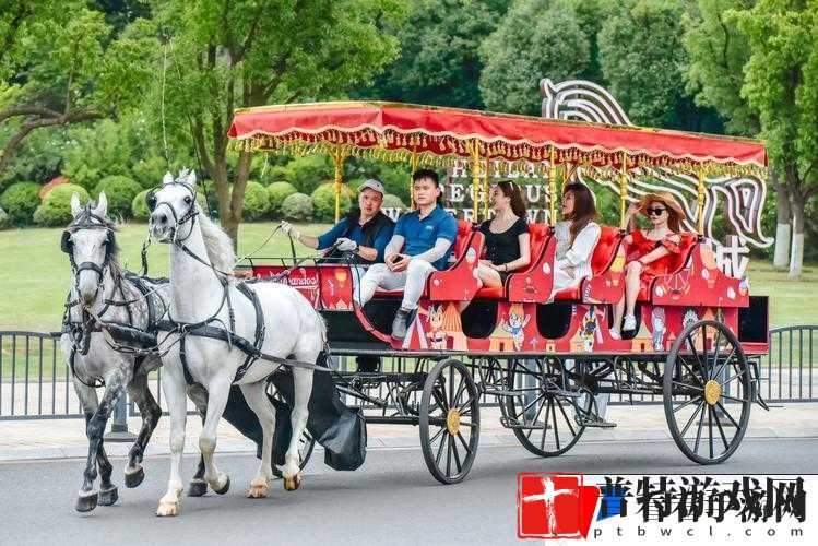 马车上的欢乐：畅享旅途之趣