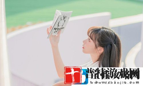 2024年日本三色电费政策