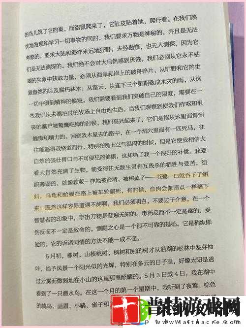 被吃扇贝的感觉