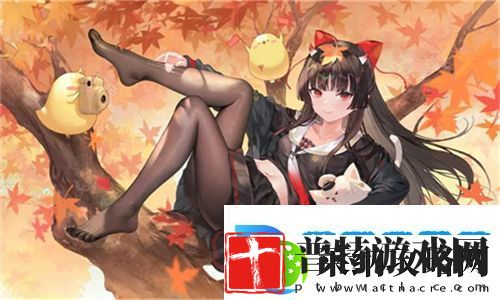 欧洲尺码日本尺码专线不卡顿