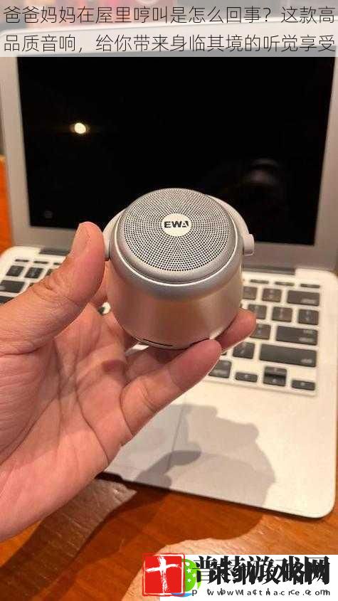 爸爸妈妈在屋里哼叫是怎么回事这款高品质音响给你带来身临其境的听觉享受