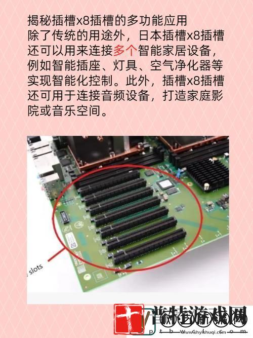 日本插槽X8是正规还是仿引发热议