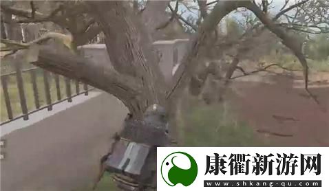 恶魔法则全面解析