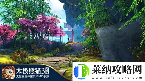太极熊猫3