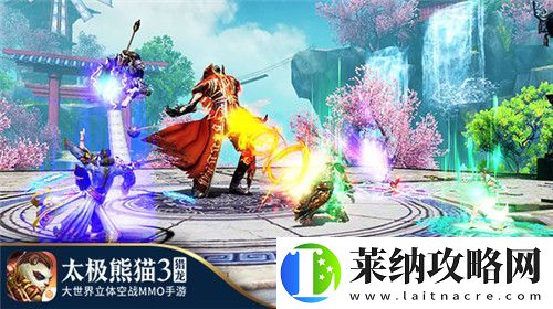 太极熊猫3
