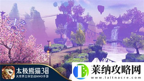 太极熊猫3