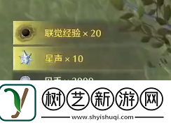 鸣潮夜明坡上锁宝箱怎么解锁