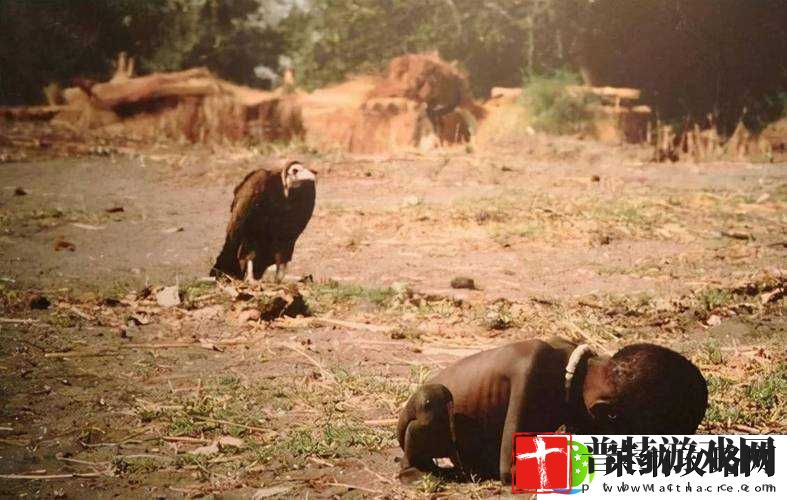 非洲女人与禽
