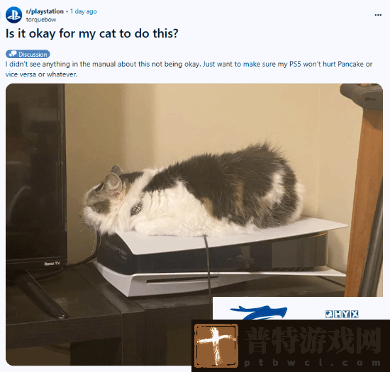猫猫趴在PS5上不愿离开！玩家