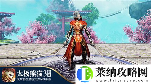 太极熊猫3