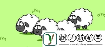 羊了个羊玩不了怎么办