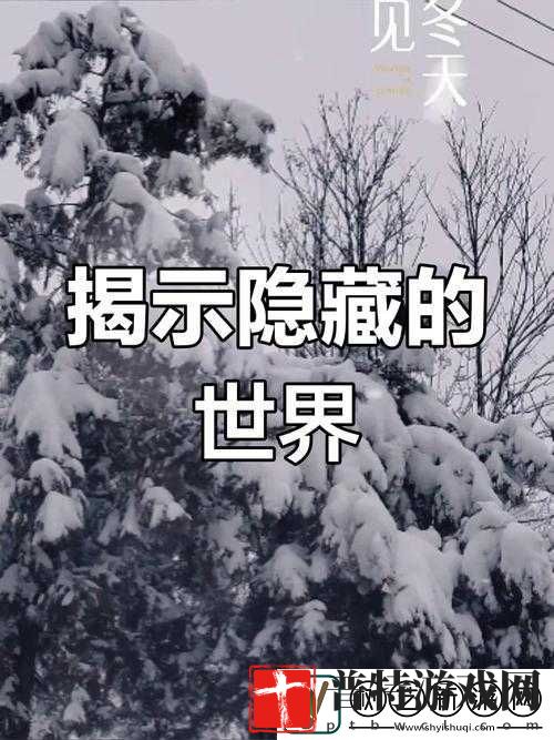 黄色叼嗨