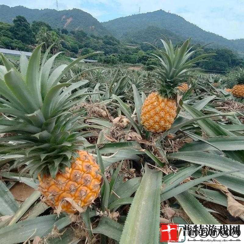 探索神秘福建