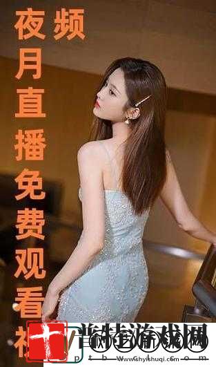 夜月直播免费下载视频