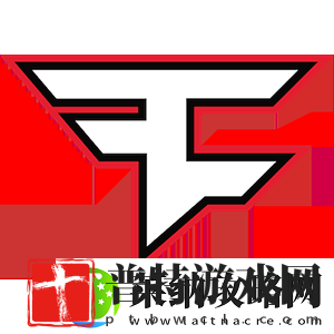 豪强云集、版本迭代
