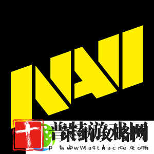 IEM卡托维兹