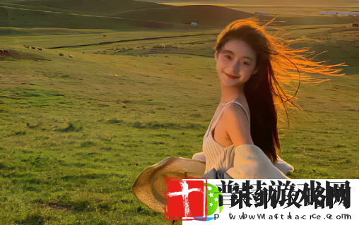 新模软件下载安装最新版本