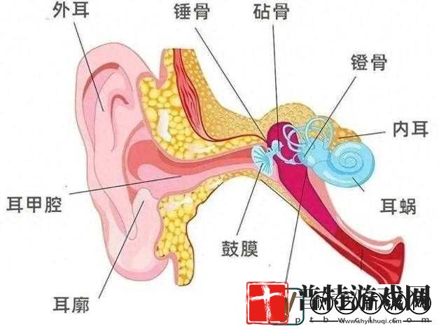差差差带疼痛的声音支持国语