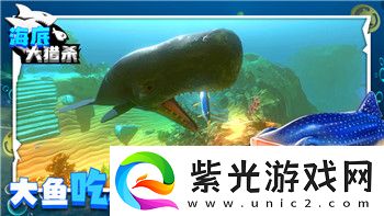 双人成行完整攻略——深入解析合作模式与游戏技巧