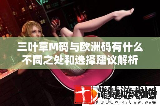三叶草M码与欧洲码有什么不同之处和选择建议解析