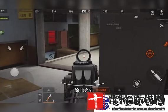 如何在航海王热血航线中深度解析并高效获取雨林气球？揭开隐藏的玩法与技巧！