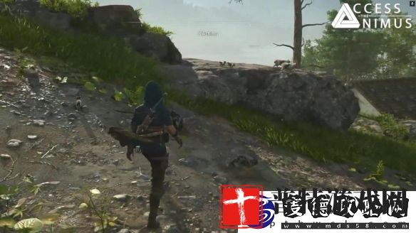 刺客信条