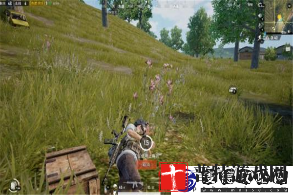 揭秘白夜极光光珀获取攻略如何变迁的悬念与技巧，追寻光辉背后的故事与秘密