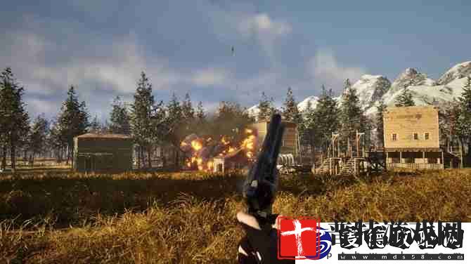 合作生存恐怖射击