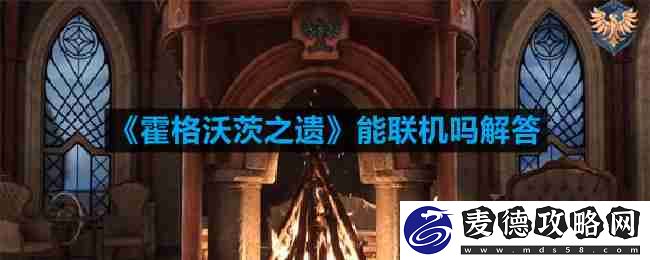 霍格沃茨之遗能联机吗解答