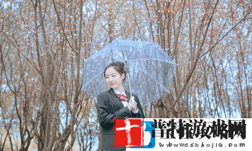 国产暴力强伦轩再掀波澜