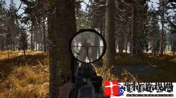 合作生存恐怖射击