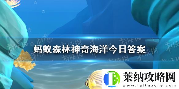 以下哪种蟹俗称万圣节蟹