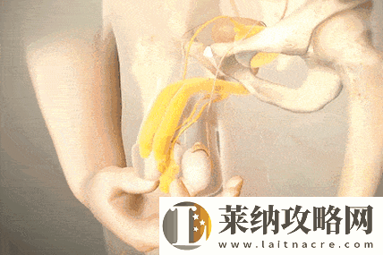 行房时勃不起怎么办