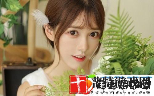狗和人胶配方20分钟