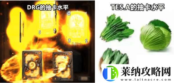 滔搏、DYG一胜难求