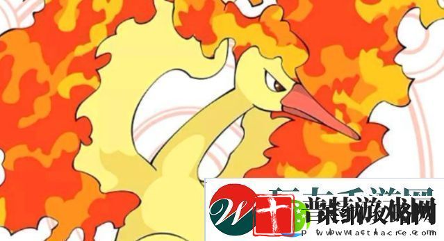 口袋觉醒火焰鸟属性技能分析