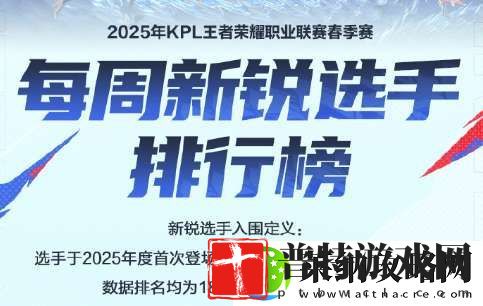 每周新锐选手排行榜