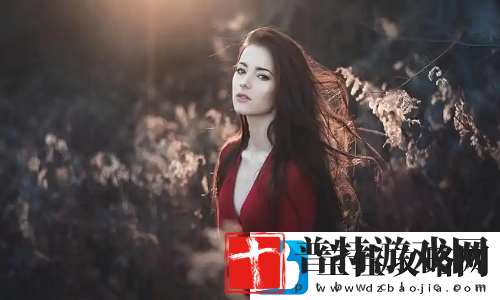 免费看B站直播APP下载